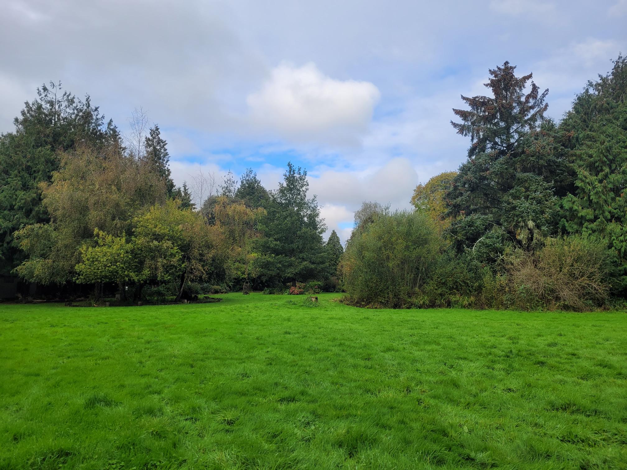 Shows Poltimore House grounds. 
						Green field in foreground with a several trees in the background.